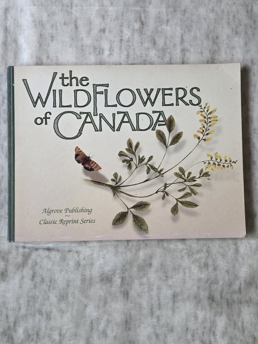 The Wildflowers of Canada by The Montreal Star Full Colour Botany Artists Book